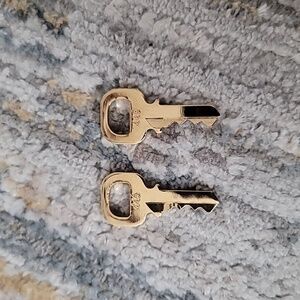 2 keys for padlock 445 Louis Vuitton